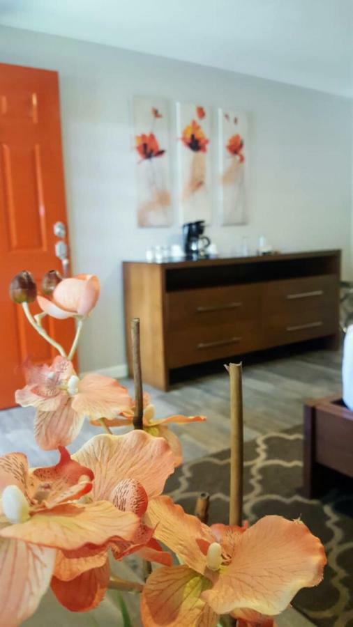 Quinta Arratz Hotel Villa de Juarez Bagian luar foto